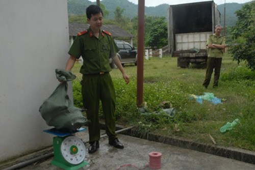 Mỗi xe c&aacute; tầm lậu tay bu&ocirc;n l&atilde;i 300 triệu đồng
