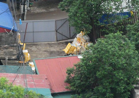 Điểm mặt những &ocirc;ng tr&ugrave;m c&aacute; tầm lậu