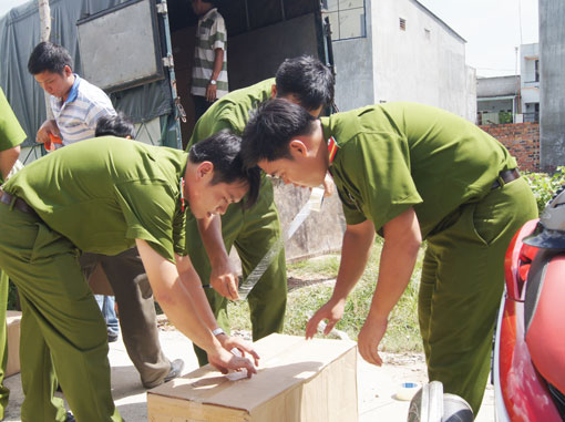  Ni&ecirc;m phong số b&oacute;ng đ&egrave;n v&agrave; c&aacute;c loại bao b&igrave; mang nh&atilde;n hiệu Rạng Đ&ocirc;ng