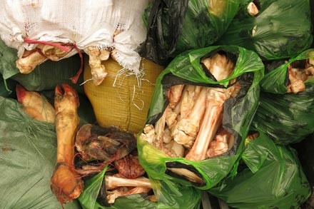 Ch&acirc;n tr&acirc;u, b&ograve; thối bị cảnh s&aacute;t thu giữ